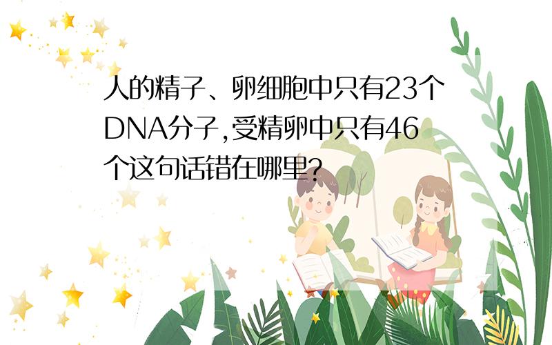 人的精子、卵细胞中只有23个DNA分子,受精卵中只有46个这句话错在哪里?