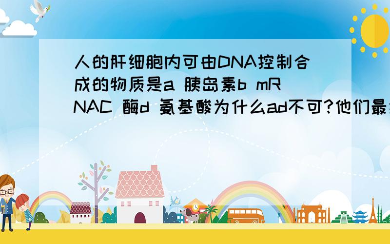 人的肝细胞内可由DNA控制合成的物质是a 胰岛素b mRNAC 酶d 氨基酸为什么ad不可?他们最终不也是要遗传控制?