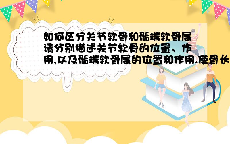 如何区分关节软骨和骺端软骨层请分别描述关节软骨的位置、作用,以及骺端软骨层的位置和作用.使骨长长的骺端软骨层的具体位置.
