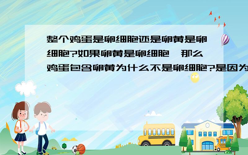 整个鸡蛋是卵细胞还是卵黄是卵细胞?如果卵黄是卵细胞,那么鸡蛋包含卵黄为什么不是卵细胞?是因为多出了卵白和其他东西吗?