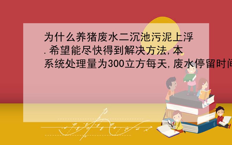 为什么养猪废水二沉池污泥上浮.希望能尽快得到解决方法,本系统处理量为300立方每天,废水停留时间一天废水经气浮→筛网→厌氧→好氧→沉淀→催化上面所说流程有误,应该是：调节池→筛