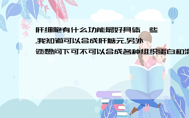 肝细胞有什么功能最好具体一些.我知道可以合成肝糖元.另外还想问下可不可以合成各种组织蛋白和激素.肝细胞可以参与激素的代谢,那么它可以合成激素吗?