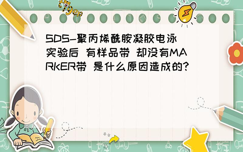 SDS-聚丙烯酰胺凝胶电泳 实验后 有样品带 却没有MARKER带 是什么原因造成的?