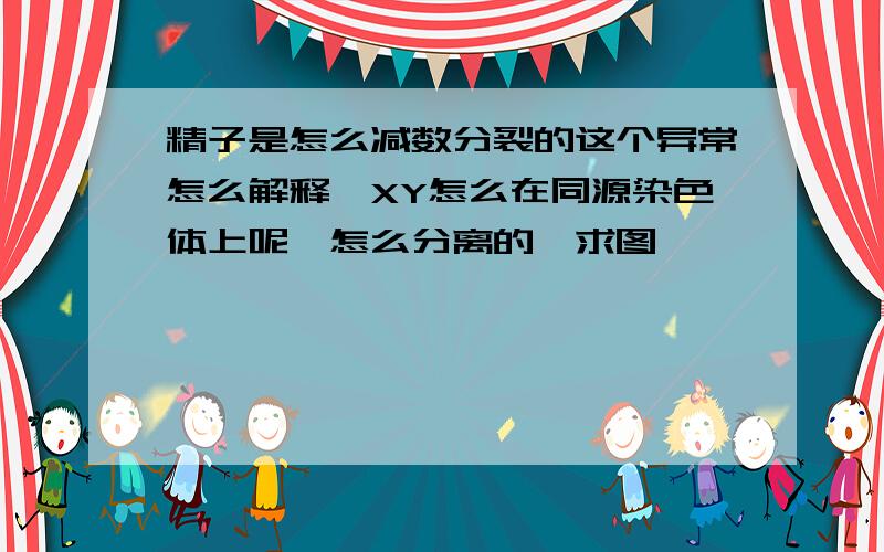 精子是怎么减数分裂的这个异常怎么解释,XY怎么在同源染色体上呢,怎么分离的,求图