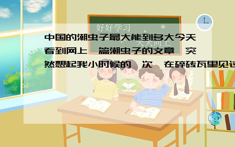 中国的潮虫子最大能到多大今天看到网上一篇潮虫子的文章,突然想起我小时候的一次,在碎砖瓦里见过一个类似于潮虫子的虫子,但是这个虫子很大,大约10厘米长,4厘米宽,我是在天津看到的.当