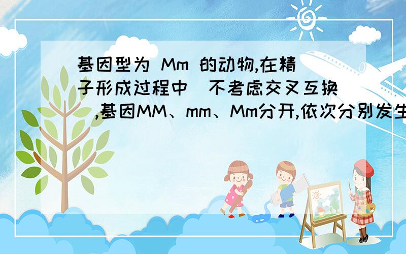 基因型为 Mm 的动物,在精子形成过程中（不考虑交叉互换）,基因MM、mm、Mm分开,依次分别发生在（补充）①精原细胞形成初级精母细胞 ②初级精母细胞形成次级精母细胞③次级精母细胞形成