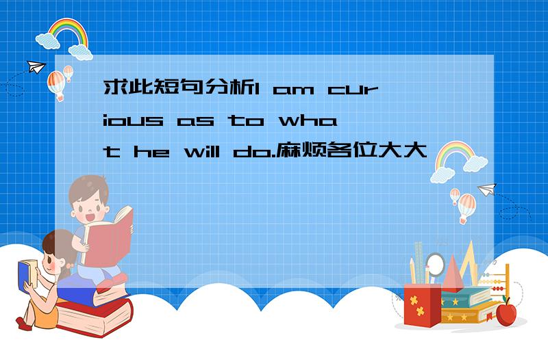 求此短句分析I am curious as to what he will do.麻烦各位大大