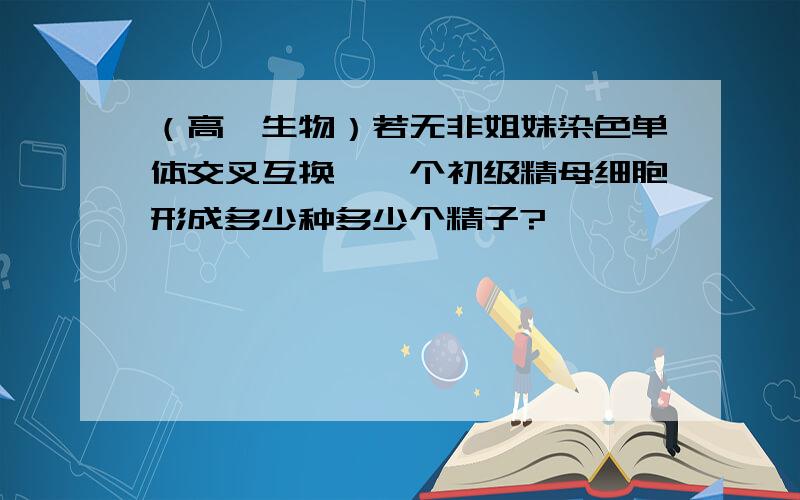 （高一生物）若无非姐妹染色单体交叉互换,一个初级精母细胞形成多少种多少个精子?