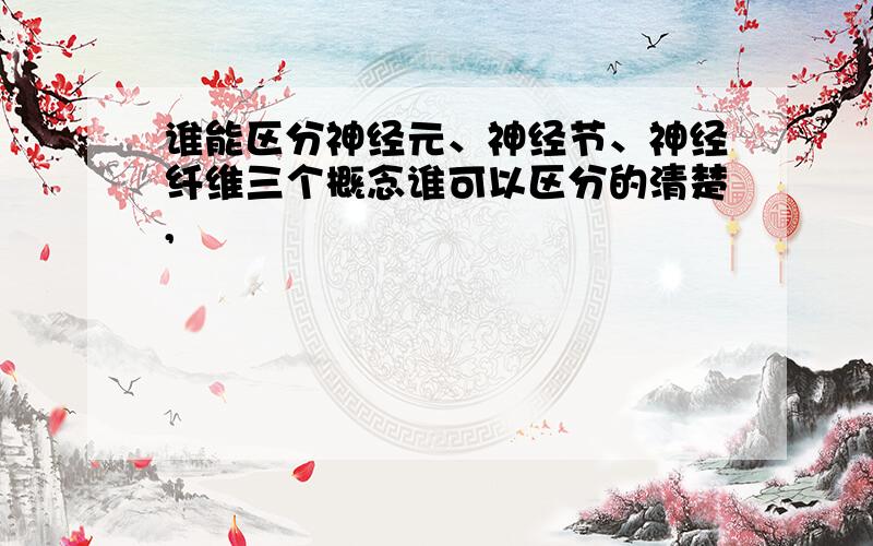 谁能区分神经元、神经节、神经纤维三个概念谁可以区分的清楚,