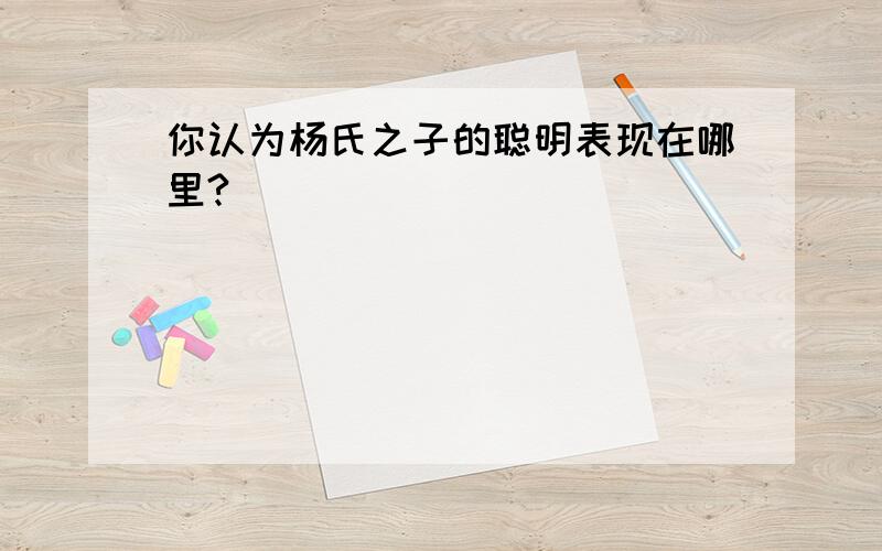 你认为杨氏之子的聪明表现在哪里?