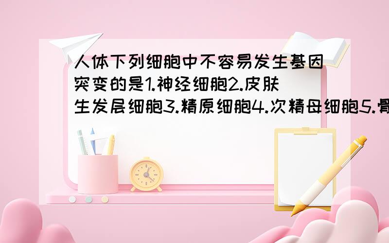 人体下列细胞中不容易发生基因突变的是1.神经细胞2.皮肤生发层细胞3.精原细胞4.次精母细胞5.骨髓造血干细胞谢拉1和4