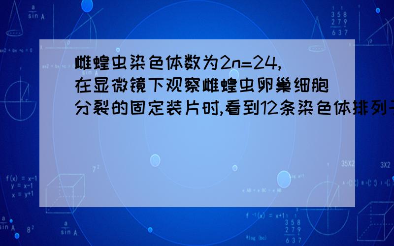 雌蝗虫染色体数为2n=24,在显微镜下观察雌蝗虫卵巢细胞分裂的固定装片时,看到12条染色体排列于赤道板.