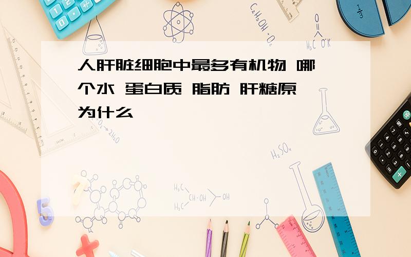 人肝脏细胞中最多有机物 哪一个水 蛋白质 脂肪 肝糖原 为什么