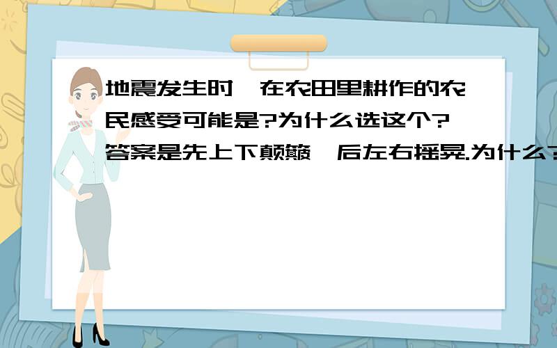 地震发生时,在农田里耕作的农民感受可能是?为什么选这个?答案是先上下颠簸,后左右摇晃.为什么?