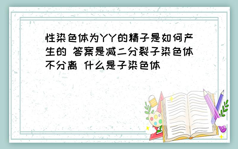 性染色体为YY的精子是如何产生的 答案是减二分裂子染色体不分离 什么是子染色体