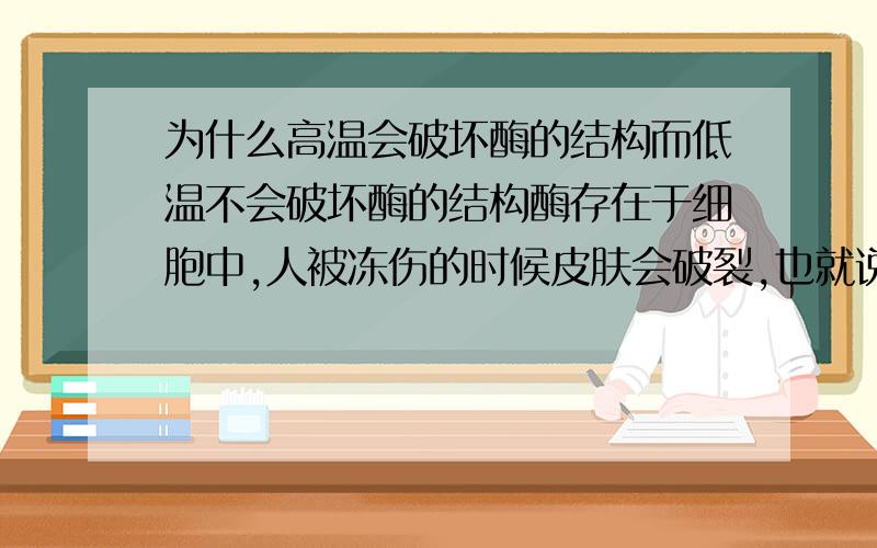 为什么高温会破坏酶的结构而低温不会破坏酶的结构酶存在于细胞中,人被冻伤的时候皮肤会破裂,也就说明细胞破裂了,那么细胞都破裂了酶不自然也会改变其结构了么?