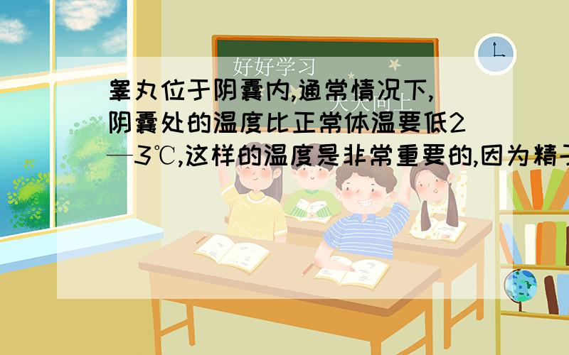 睾丸位于阴囊内,通常情况下,阴囊处的温度比正常体温要低2—3℃,这样的温度是非常重要的,因为精子在【 】的温度下才能正常发育