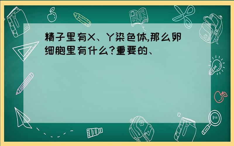 精子里有X、Y染色体,那么卵细胞里有什么?重要的、