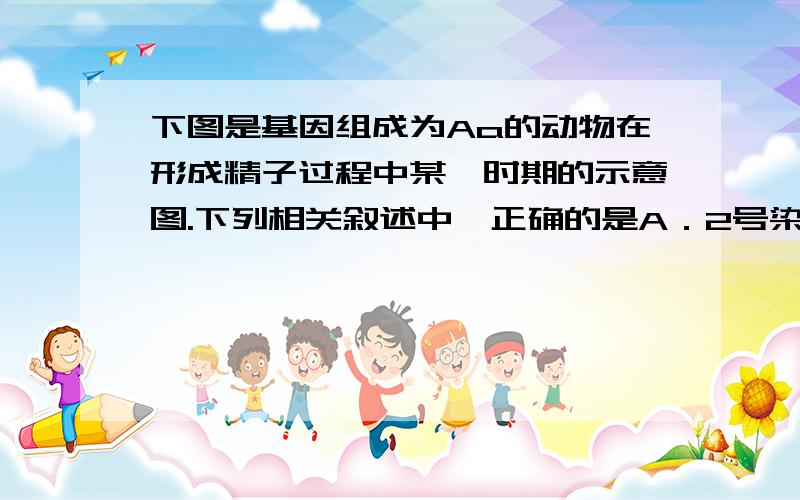 下图是基因组成为Aa的动物在形成精子过程中某一时期的示意图.下列相关叙述中,正确的是A．2号染色单体上与A位置相同的基因最可能是aB．若姐妹染色单体没有分离,则可能出现性染色体组成