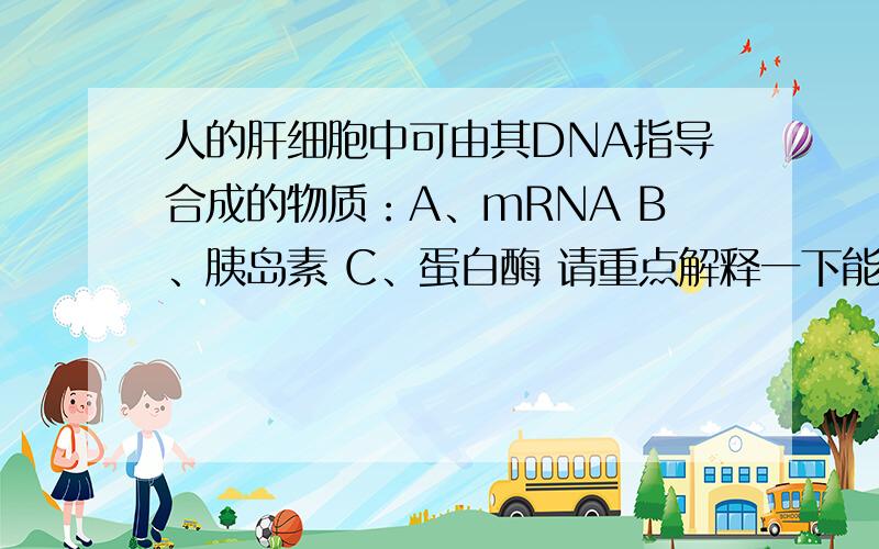 人的肝细胞中可由其DNA指导合成的物质：A、mRNA B、胰岛素 C、蛋白酶 请重点解释一下能不能指导合成蛋白酶,为什么