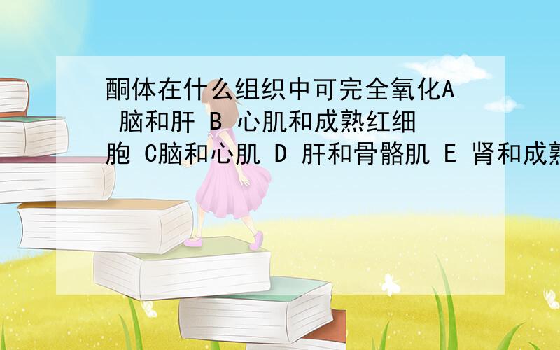 酮体在什么组织中可完全氧化A 脑和肝 B 心肌和成熟红细胞 C脑和心肌 D 肝和骨骼肌 E 肾和成熟红细胞