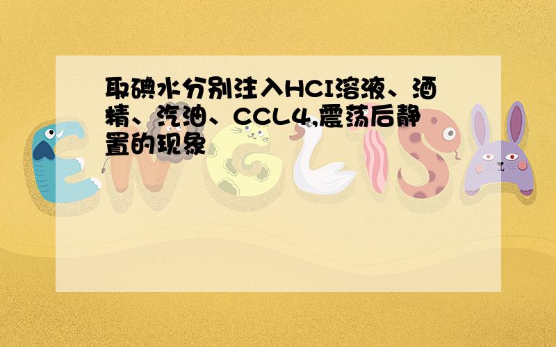 取碘水分别注入HCI溶液、酒精、汽油、CCL4,震荡后静置的现象