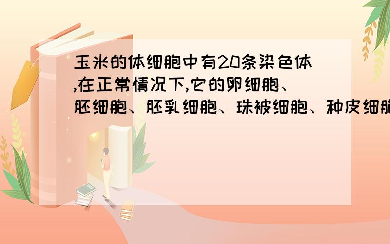 玉米的体细胞中有20条染色体,在正常情况下,它的卵细胞、胚细胞、胚乳细胞、珠被细胞、种皮细胞所含染色体数依次是多少?是不是10,20,30,20,20,为什么