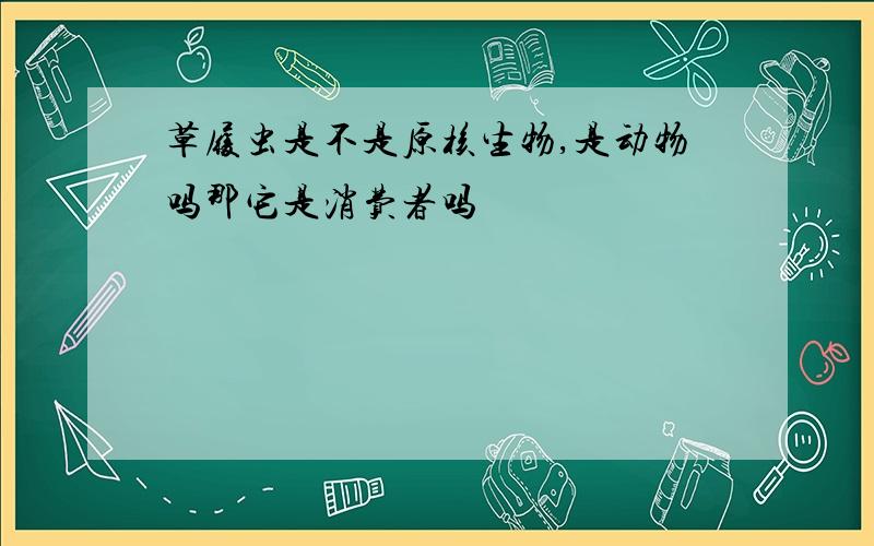 草履虫是不是原核生物,是动物吗那它是消费者吗