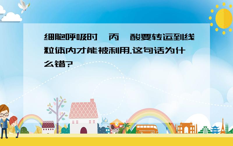 细胞呼吸时,丙酮酸要转运到线粒体内才能被利用.这句话为什么错?