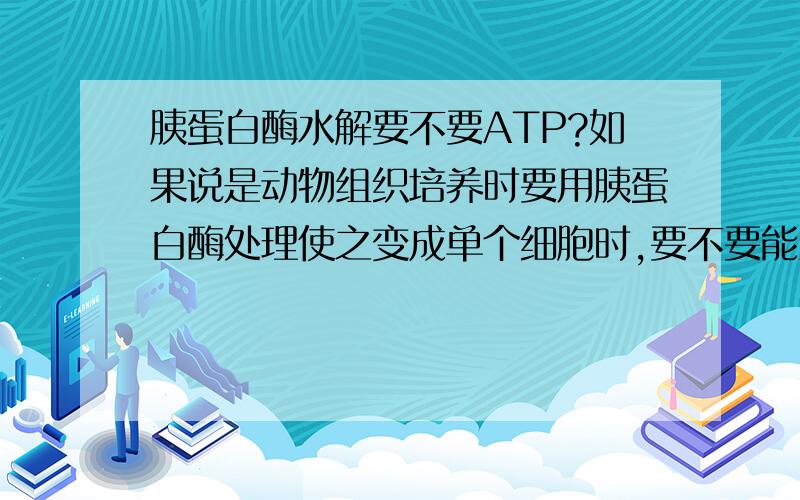 胰蛋白酶水解要不要ATP?如果说是动物组织培养时要用胰蛋白酶处理使之变成单个细胞时,要不要能量啊?