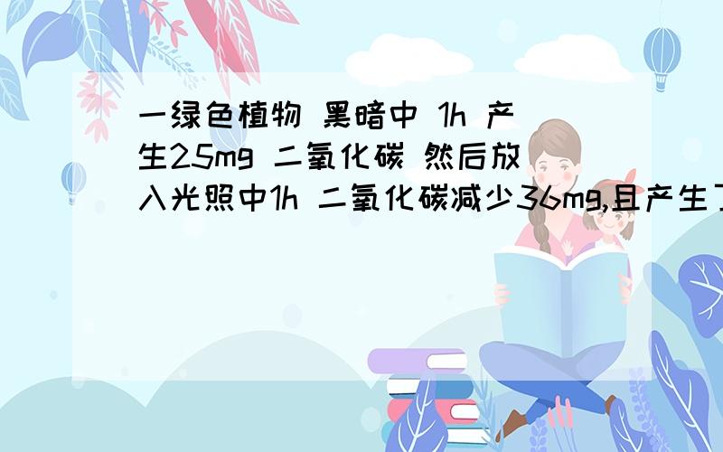 一绿色植物 黑暗中 1h 产生25mg 二氧化碳 然后放入光照中1h 二氧化碳减少36mg,且产生了45mg葡萄糖光照下,呼吸作用（二氧化碳）速率?2:2h净积累多少有机物