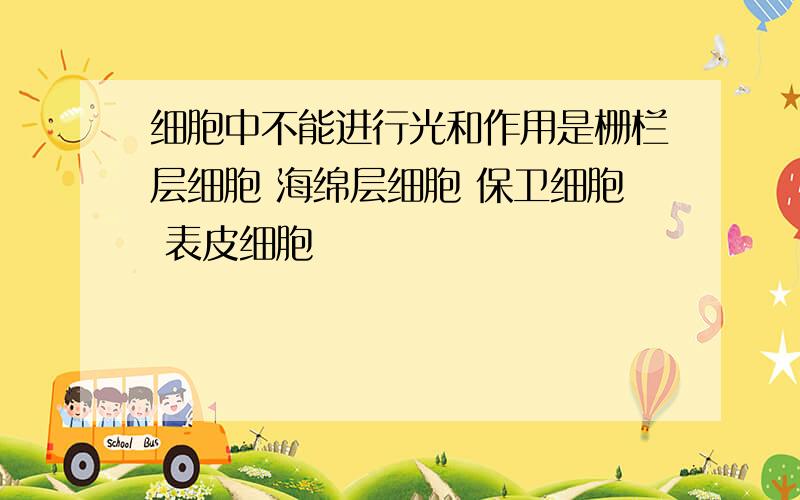 细胞中不能进行光和作用是栅栏层细胞 海绵层细胞 保卫细胞 表皮细胞