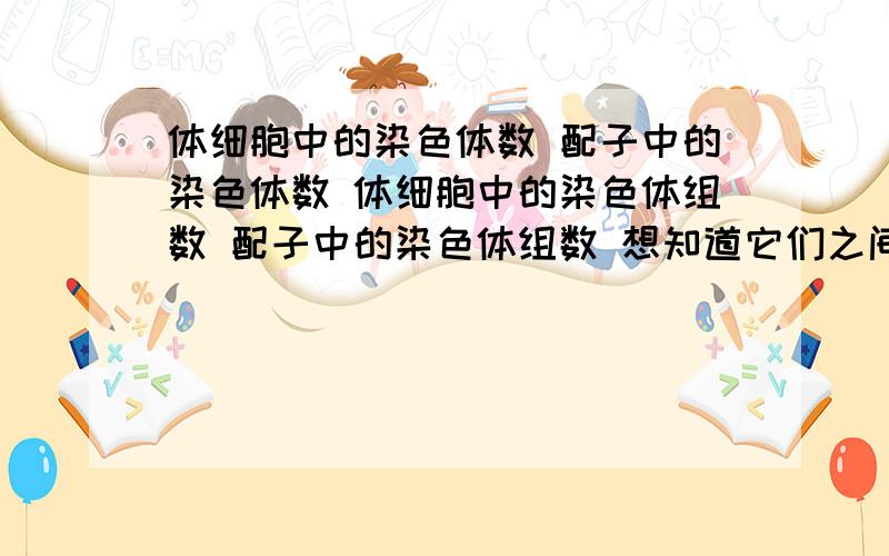 体细胞中的染色体数 配子中的染色体数 体细胞中的染色体组数 配子中的染色体组数 想知道它们之间的关系