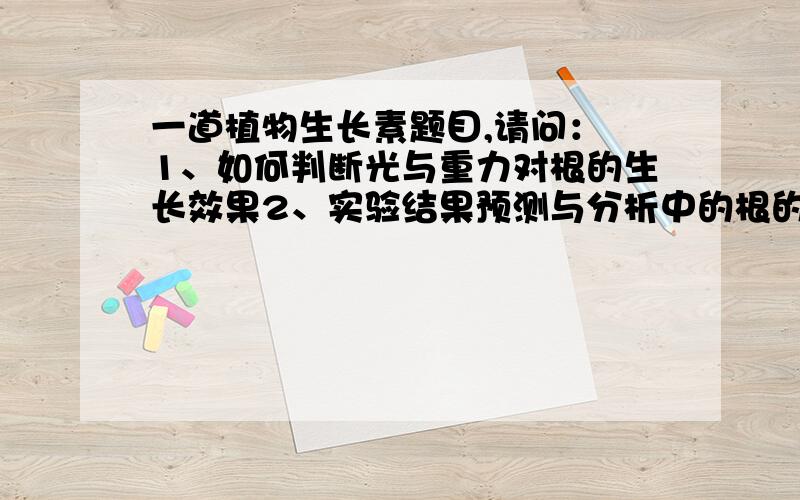 一道植物生长素题目,请问： 1、如何判断光与重力对根的生长效果2、实验结果预测与分析中的根的背光性?