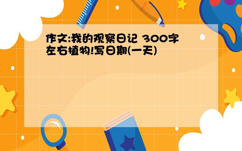 作文:我的观察日记 300字左右植物!写日期(一天)