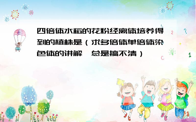 四倍体水稻的花粉经离体培养得到的植株是（求多倍体单倍体染色体的讲解,总是搞不清）