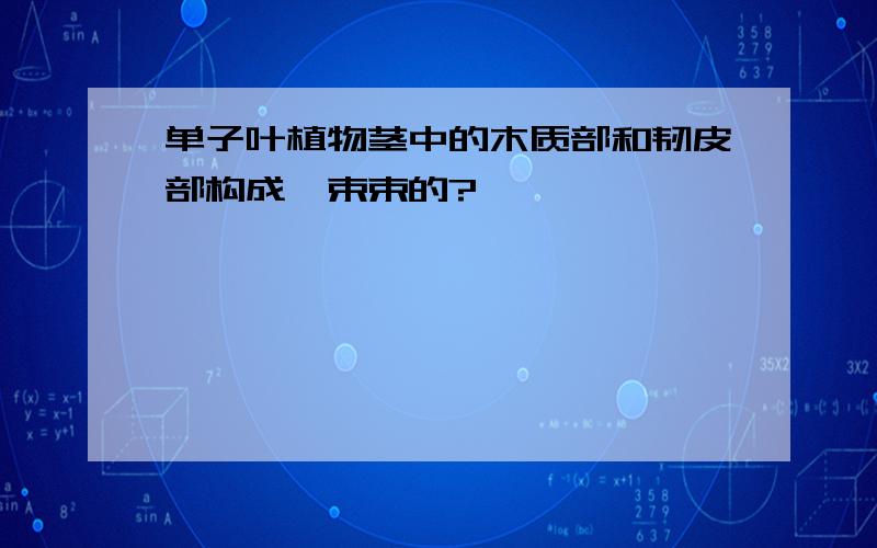 单子叶植物茎中的木质部和韧皮部构成一束束的?