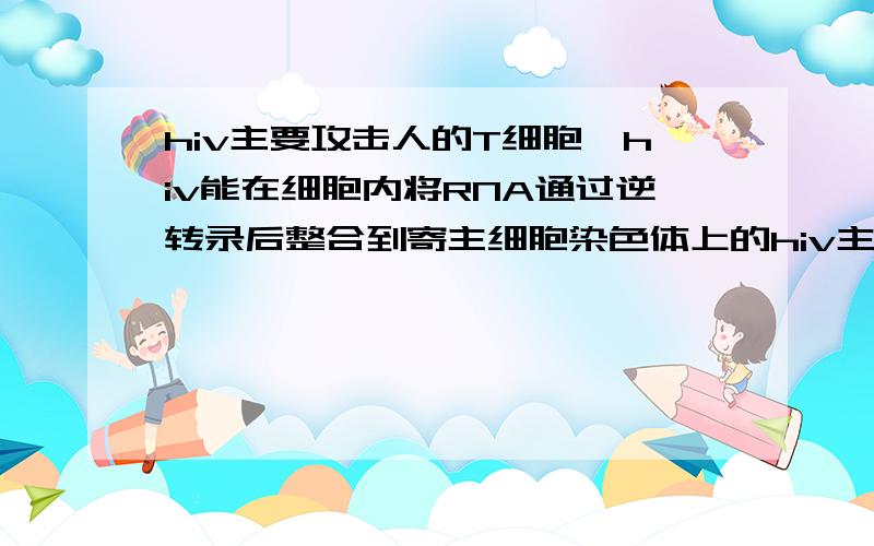 hiv主要攻击人的T细胞,hiv能在细胞内将RNA通过逆转录后整合到寄主细胞染色体上的hiv主要攻击人的（T细胞）,hiv能在细胞内将RNA通过（逆转录）后整合到寄主细胞染色体上的（ ）中,并能随寄