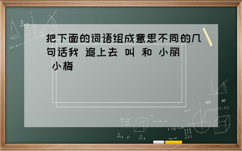 把下面的词语组成意思不同的几句话我 追上去 叫 和 小丽 小梅