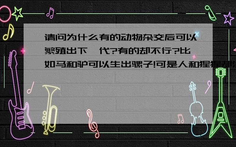 请问为什么有的动物杂交后可以繁殖出下一代?有的却不行?比如马和驴可以生出骡子!可是人和猩猩却没法繁殖出新物种!