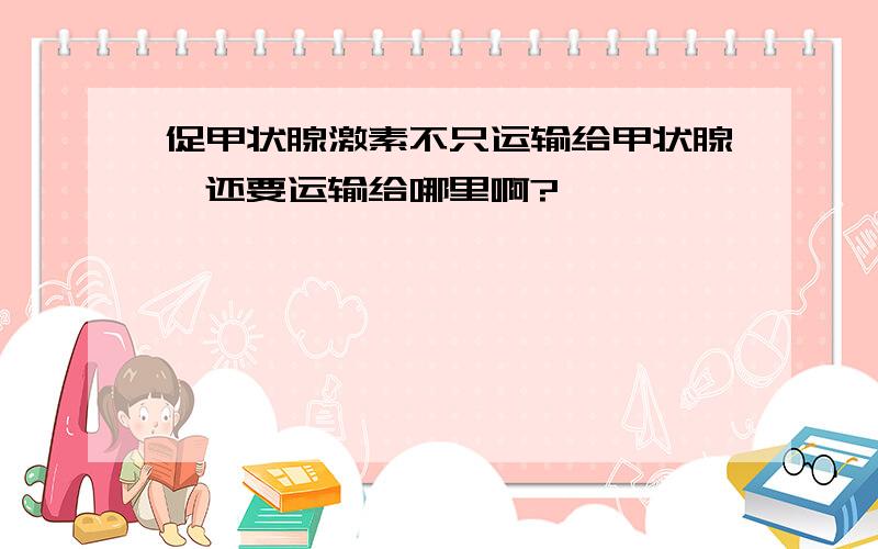 促甲状腺激素不只运输给甲状腺,还要运输给哪里啊?