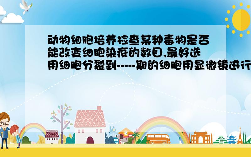 动物细胞培养检查某种毒物是否能改变细胞染疫的数目,最好选用细胞分裂到-----期的细胞用显微镜进行观察