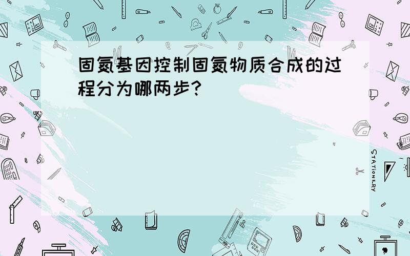 固氮基因控制固氮物质合成的过程分为哪两步?