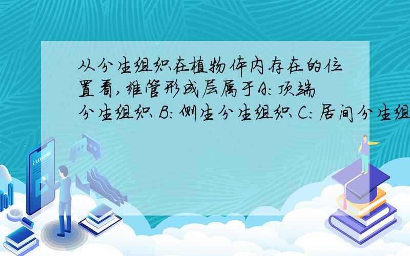 从分生组织在植物体内存在的位置看,维管形成层属于A：顶端分生组织 B：侧生分生组织 C：居间分生组织 D：次生分生组织