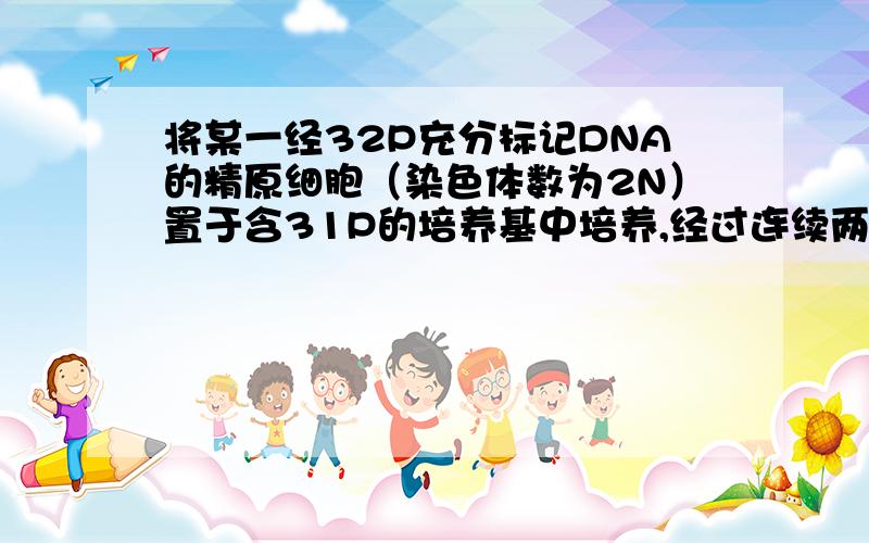 将某一经32P充分标记DNA的精原细胞（染色体数为2N）置于含31P的培养基中培养,经过连续两次细胞分裂,下列说法正确的是A.若进行有丝分裂,则子细胞含31P的染色体数一定为NB.若进行减数分裂,