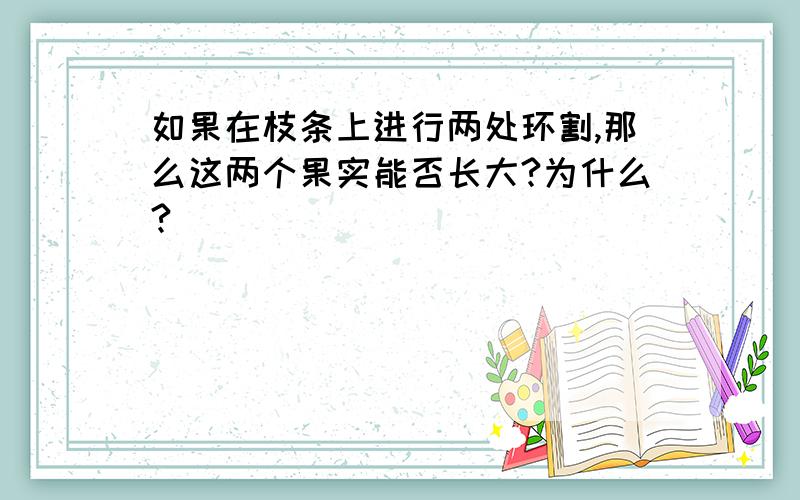 如果在枝条上进行两处环割,那么这两个果实能否长大?为什么?