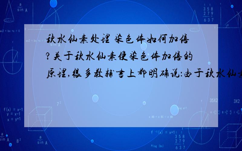 秋水仙素处理 染色体如何加倍?关于秋水仙素使染色体加倍的原理,很多教辅书上都明确说：由于秋水仙素能抑制纺锤丝的形成,染色体无法移向两极,因此染色体数目加倍》但我的问题是：1、