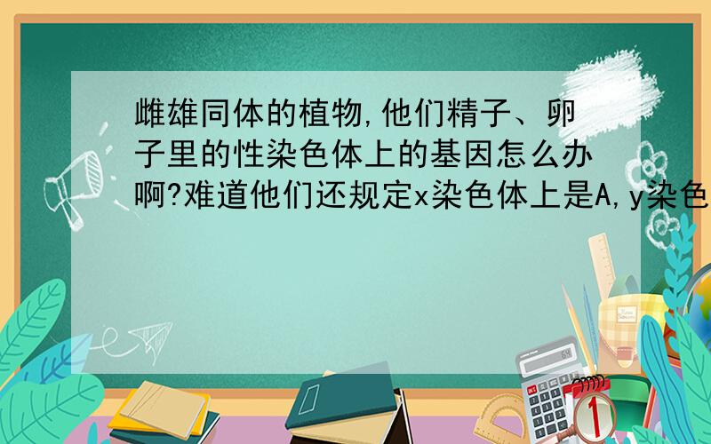 雌雄同体的植物,他们精子、卵子里的性染色体上的基因怎么办啊?难道他们还规定x染色体上是A,y染色体上是a?植物体细胞还分雌雄么?如果不分的话,正交和反交又是如何判定是常染色体遗传病