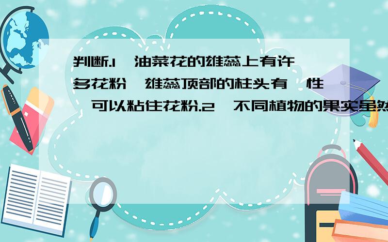 判断.1、油菜花的雄蕊上有许多花粉,雄蕊顶部的柱头有黏性,可以粘住花粉.2、不同植物的果实虽然有很多不同的地方,但果实里都有种子.3、花生是果实,萝卜也是果实.4、兰花、桃花、南瓜花