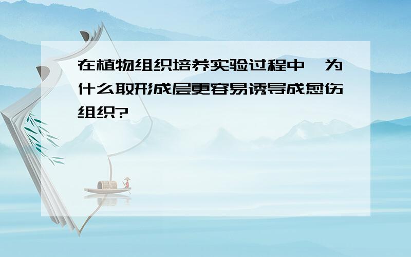 在植物组织培养实验过程中,为什么取形成层更容易诱导成愈伤组织?